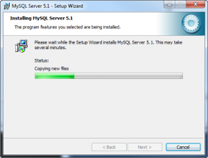 Installing MySQL 5.1 Community Server on Windows